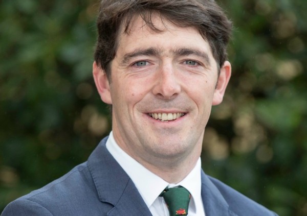 Pat Collins