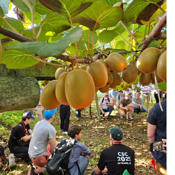Reflections from CSC 2025 in New Zealand