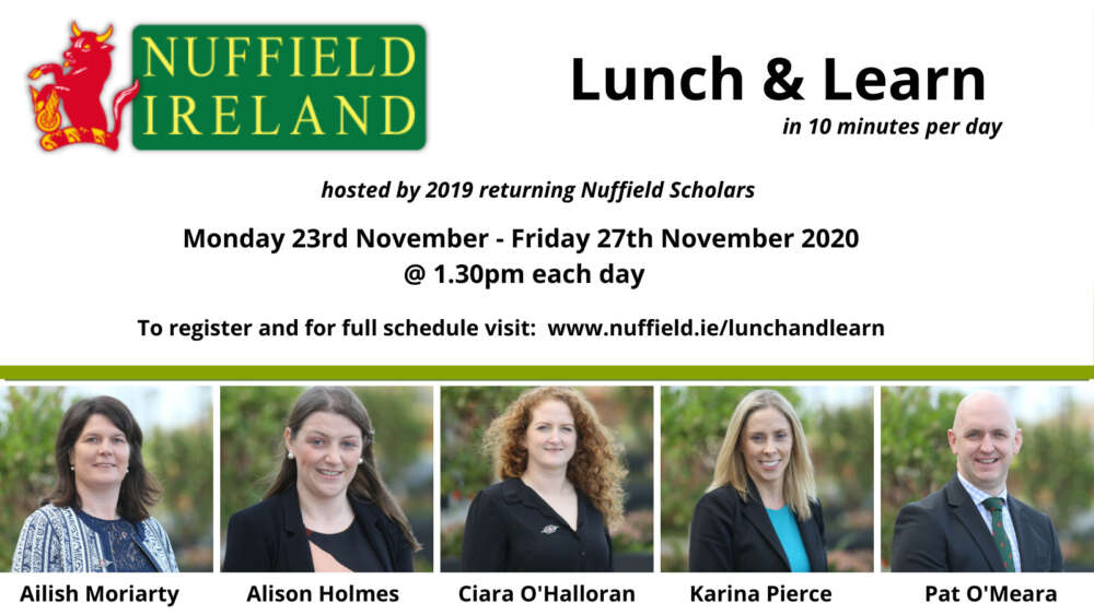 Nuffield Ireland Scholars to host virtual lunchtime series
