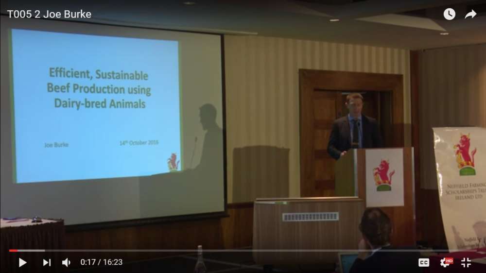 Joe Burke – 2015 Scholar