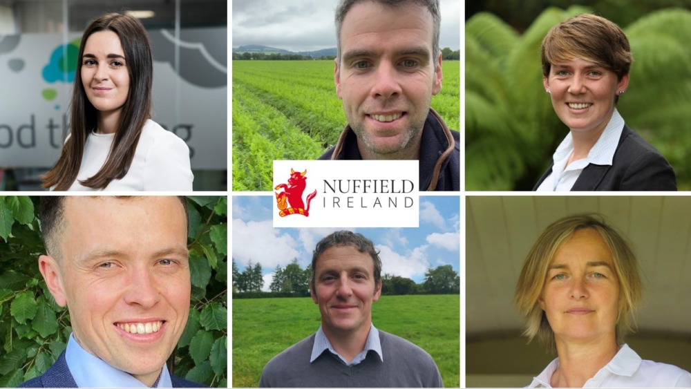 Nuffield Ireland awards six scholarships for 2023